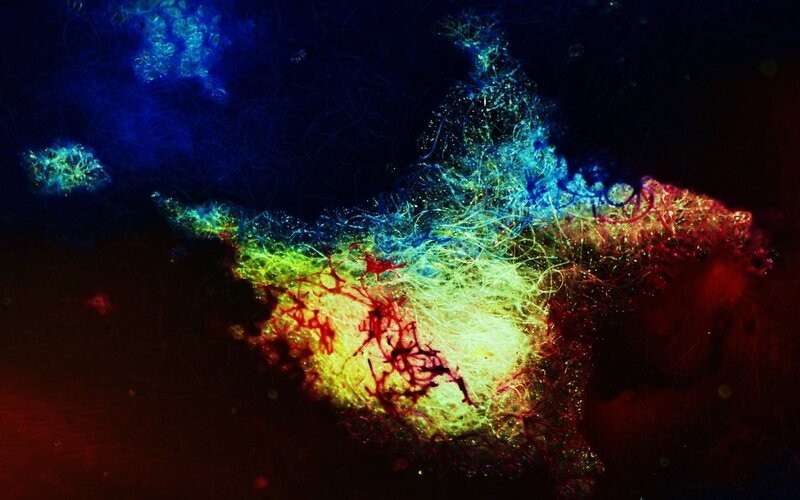 Colorful Fiber Network