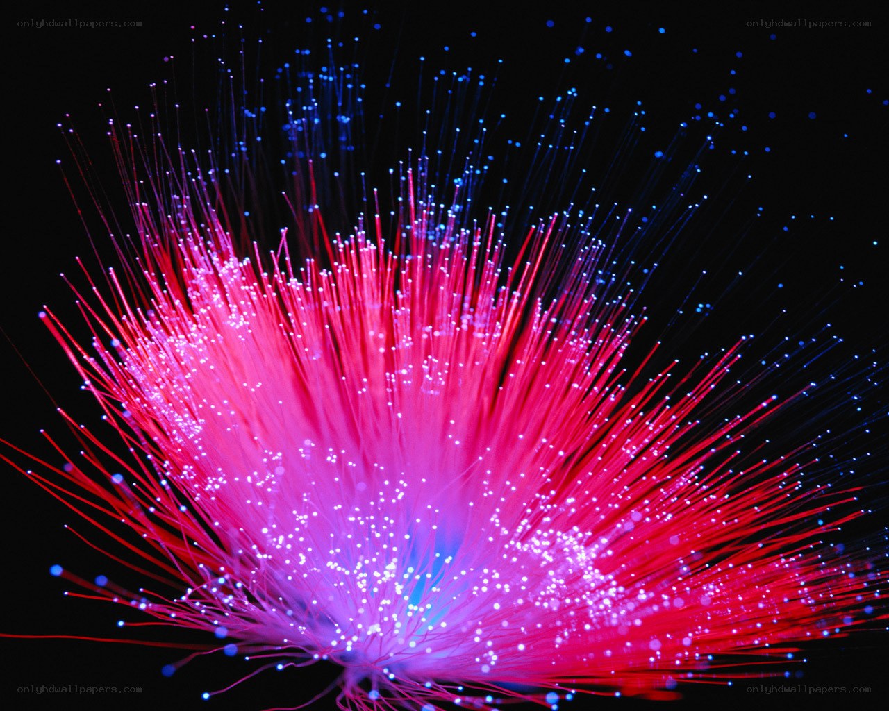 Colorful fiber optic display