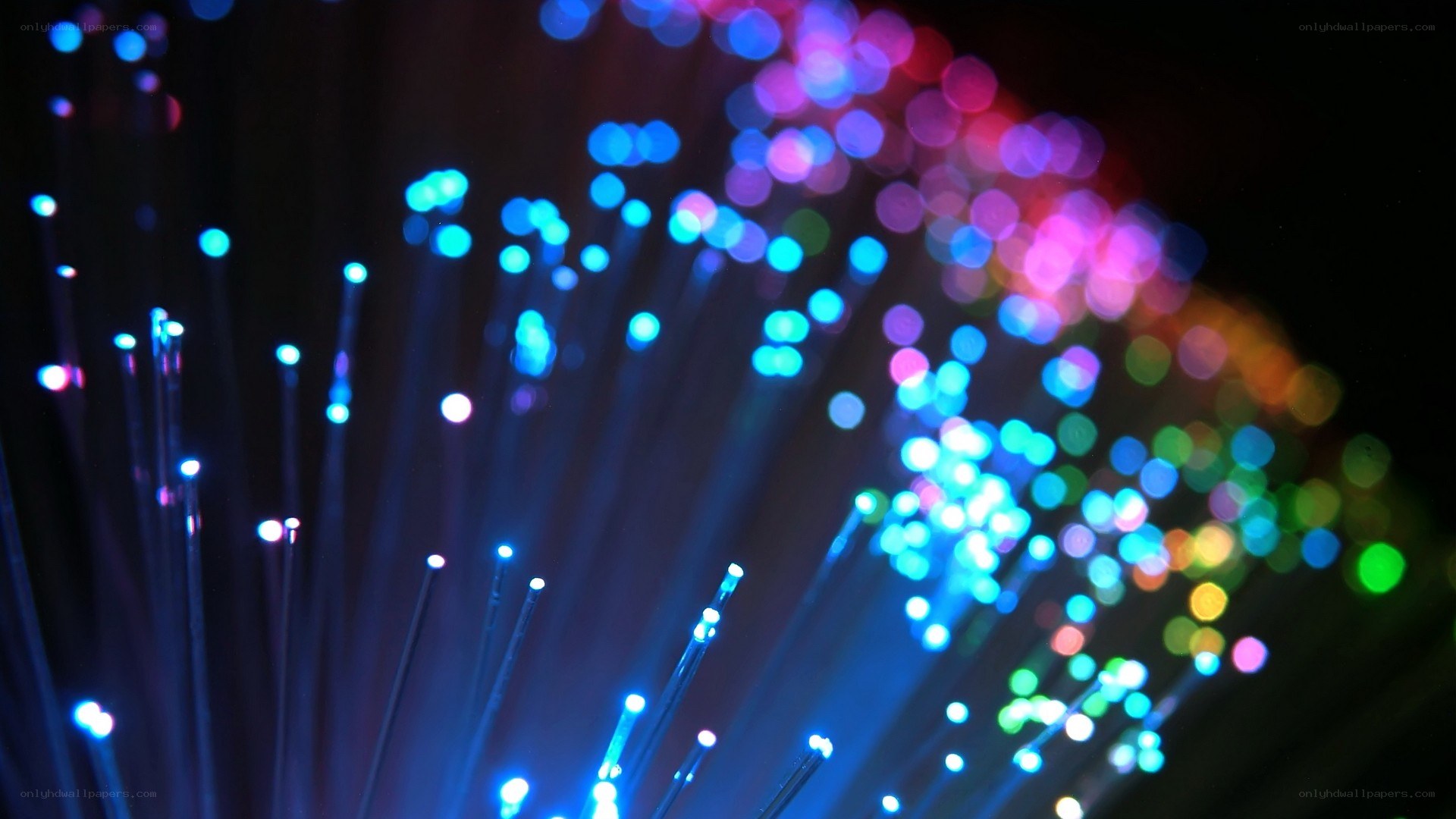 Colorful fiber optic lights