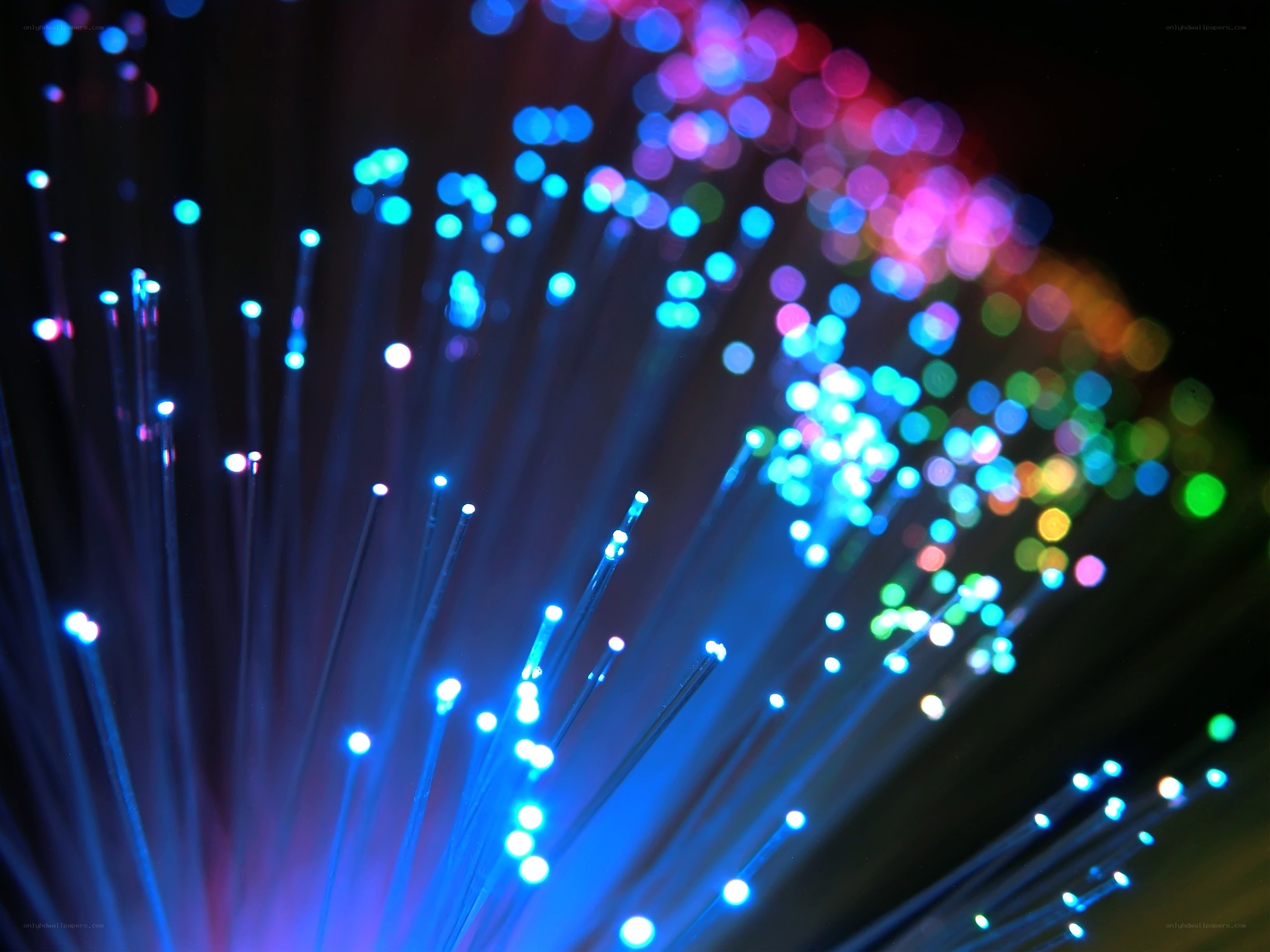 Colorful fiber optic lights