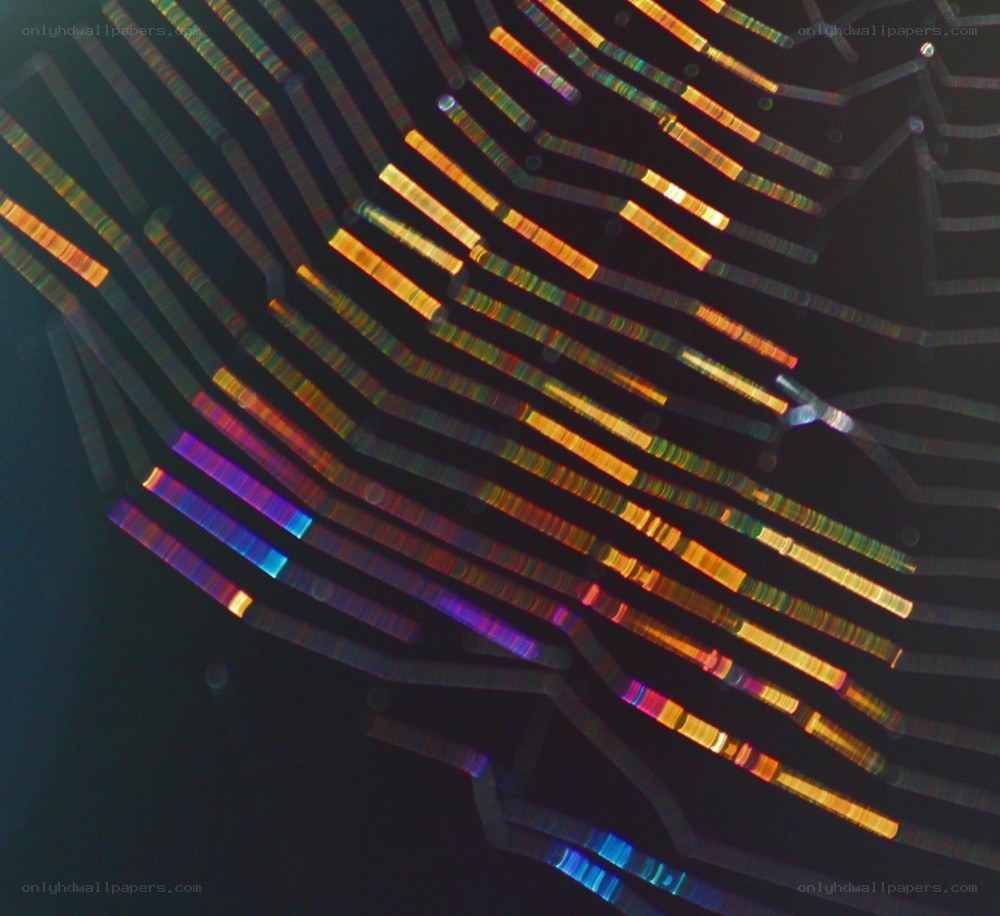 Colorful fiber optic strands
