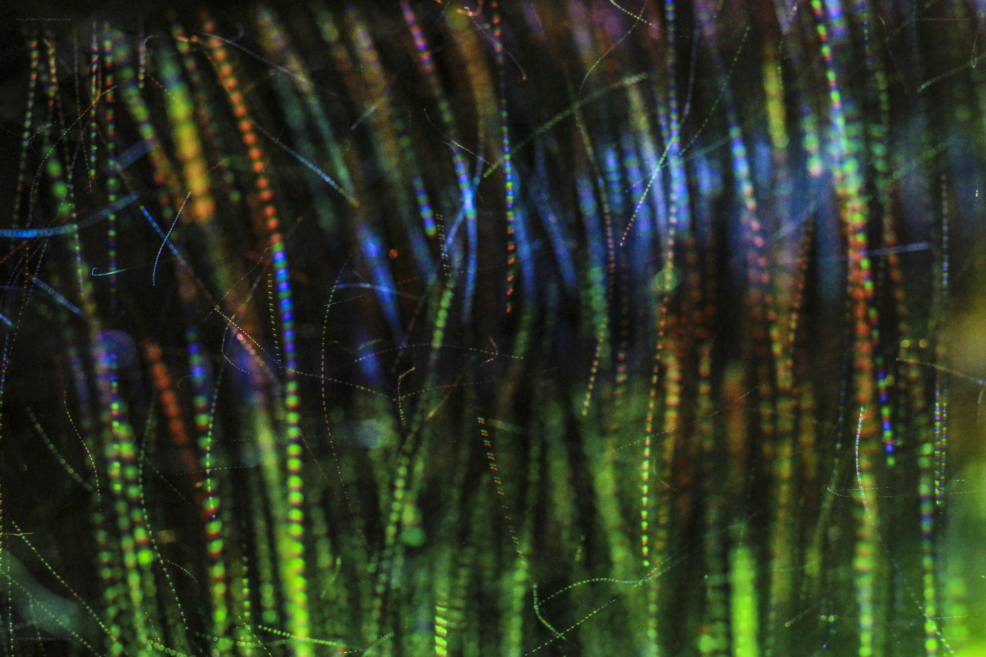 Colorful fiber strands