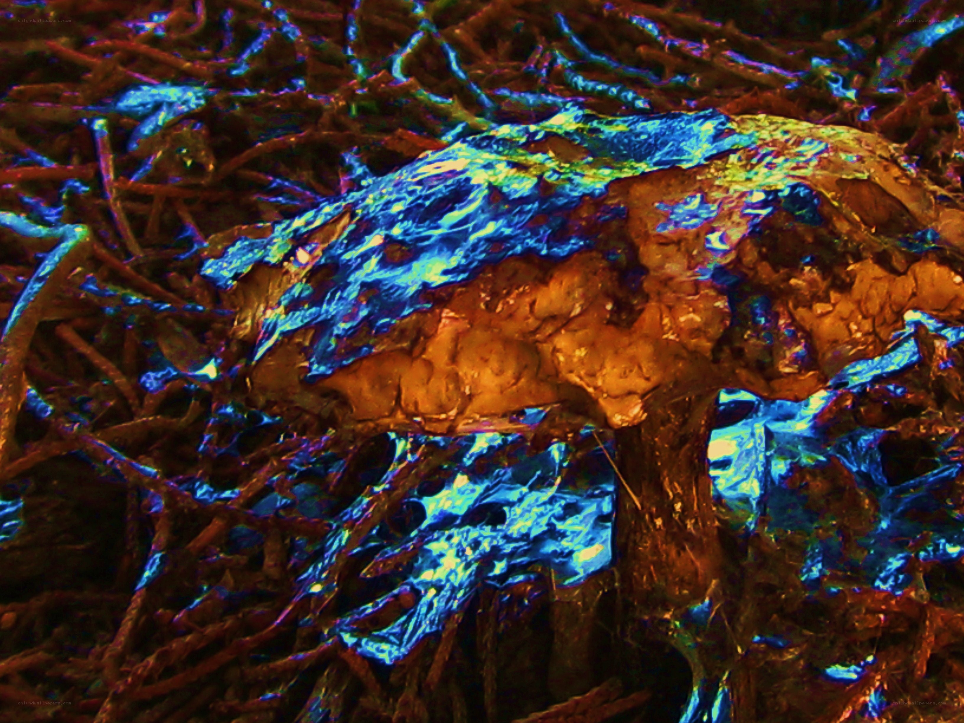 Colorful fiber texture