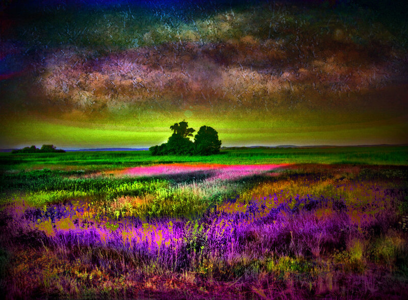 Colorful Field at Dusk