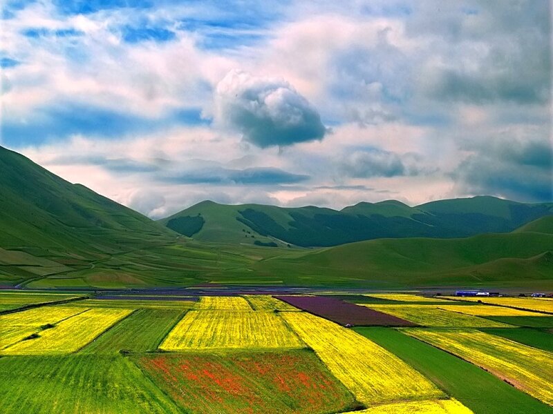 Colorful Fields and Green Hills