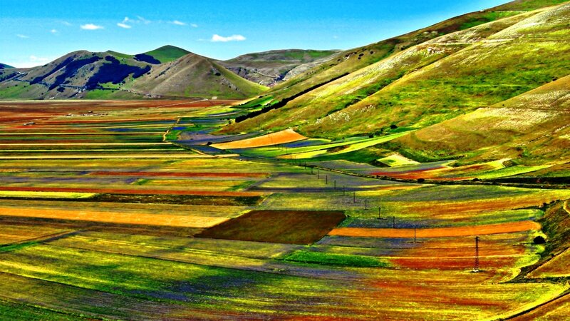 Colorful Fields and Hills — Green, Serene