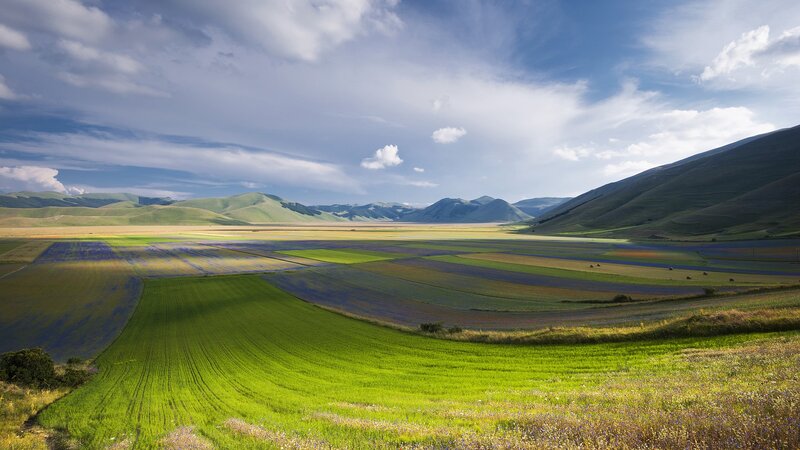 Colorful Fields and Hills — Green