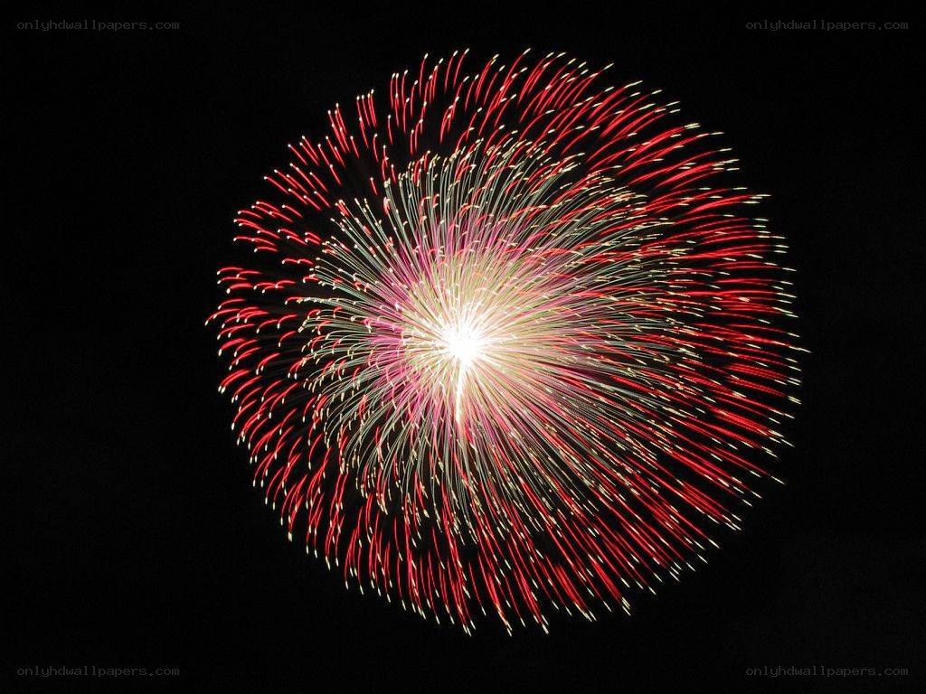 Colorful firework explosion
