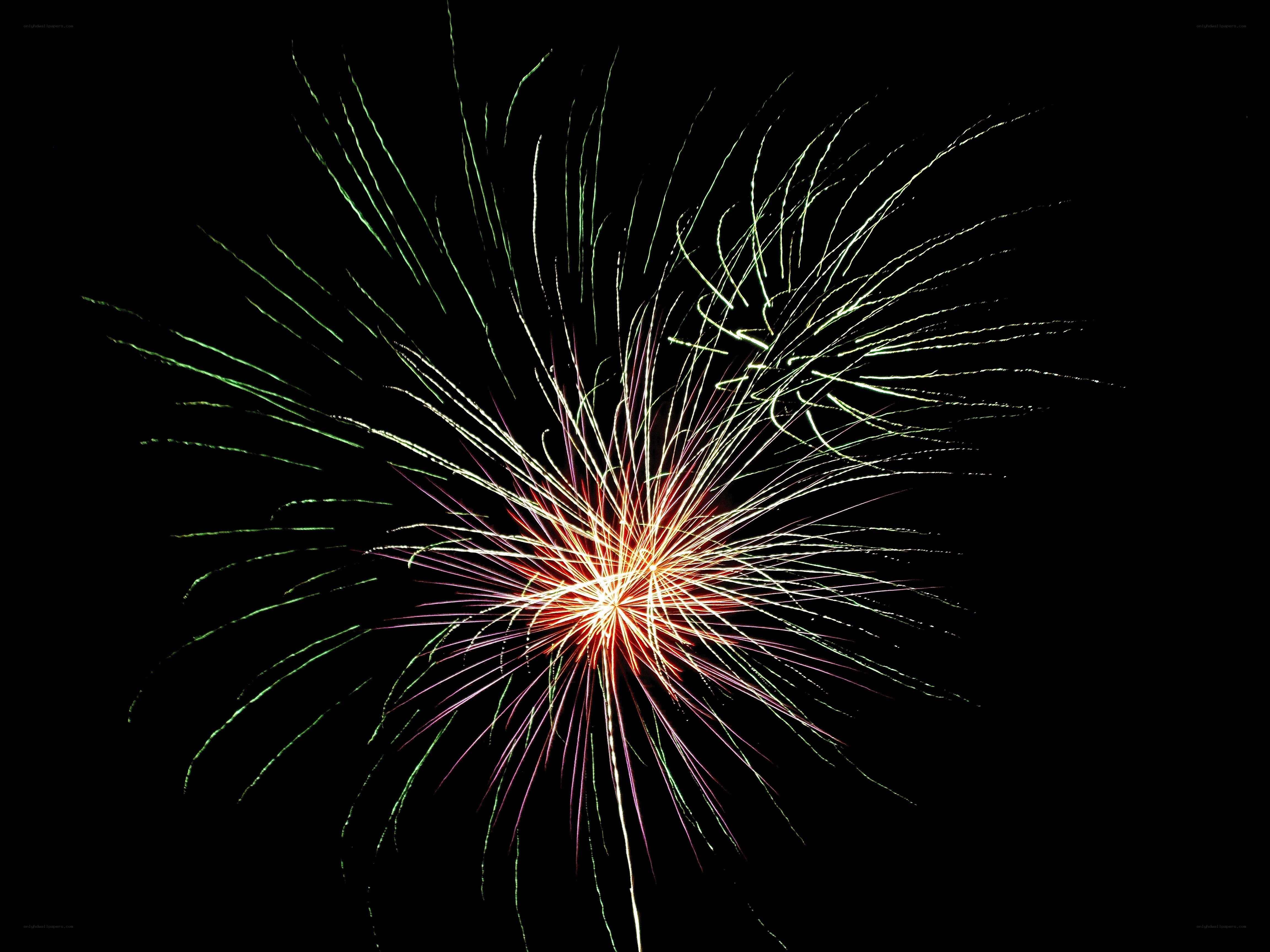 Colorful firework explosion