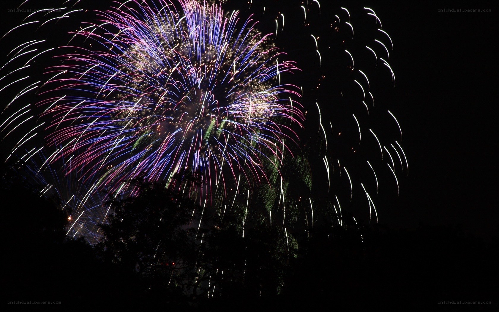 Colorful fireworks display