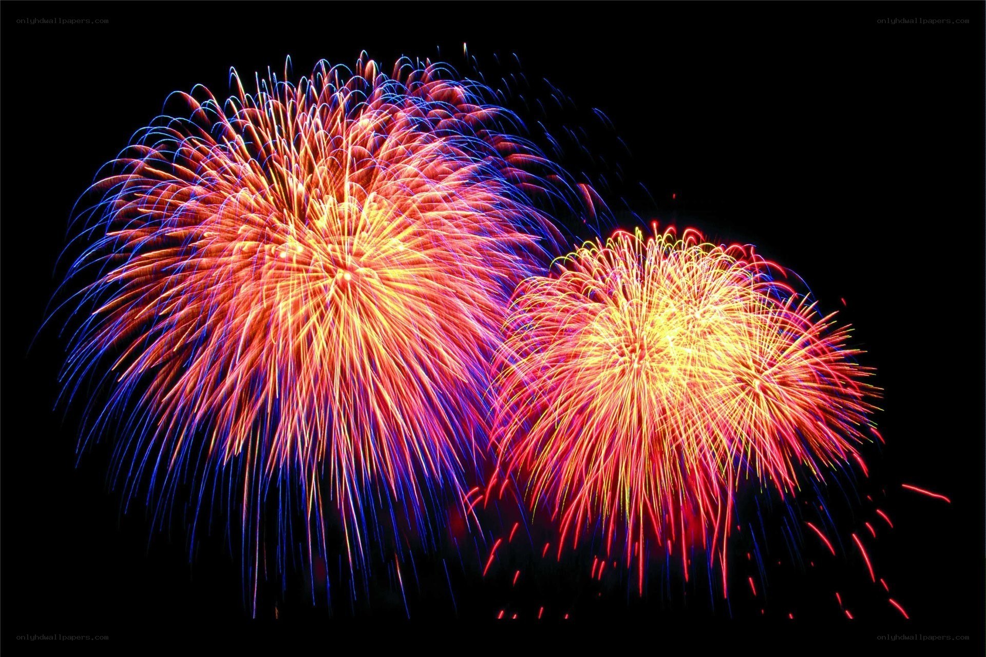 Colorful fireworks display