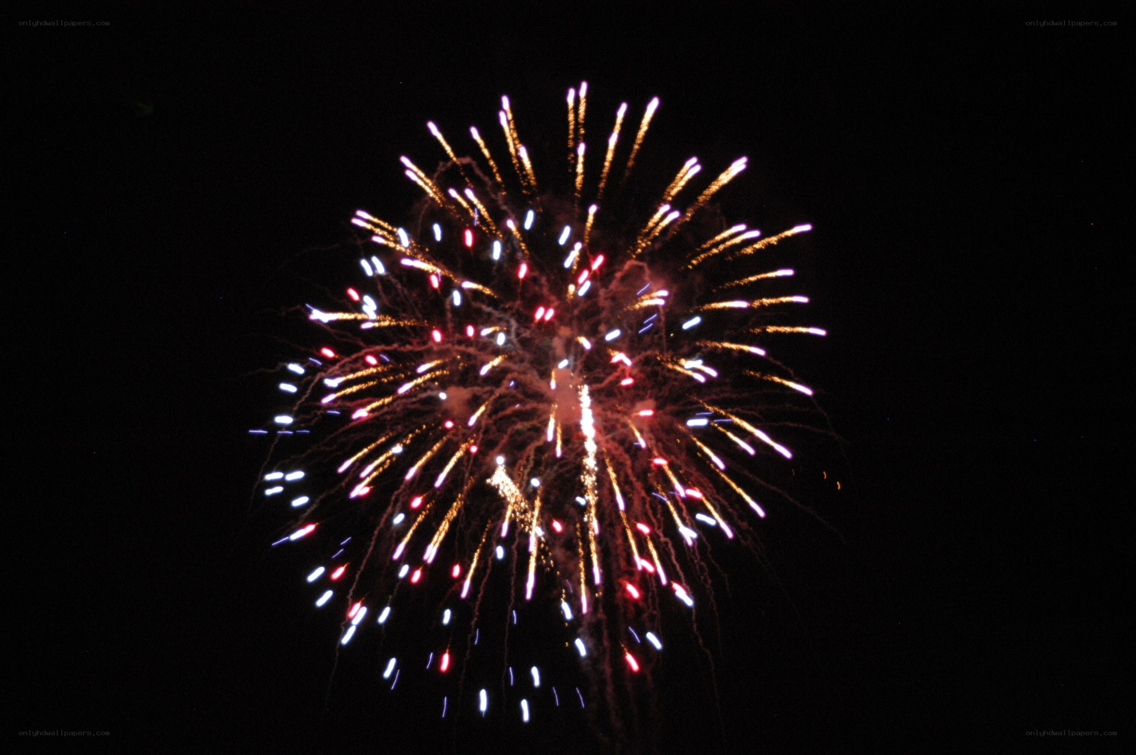 Colorful fireworks display