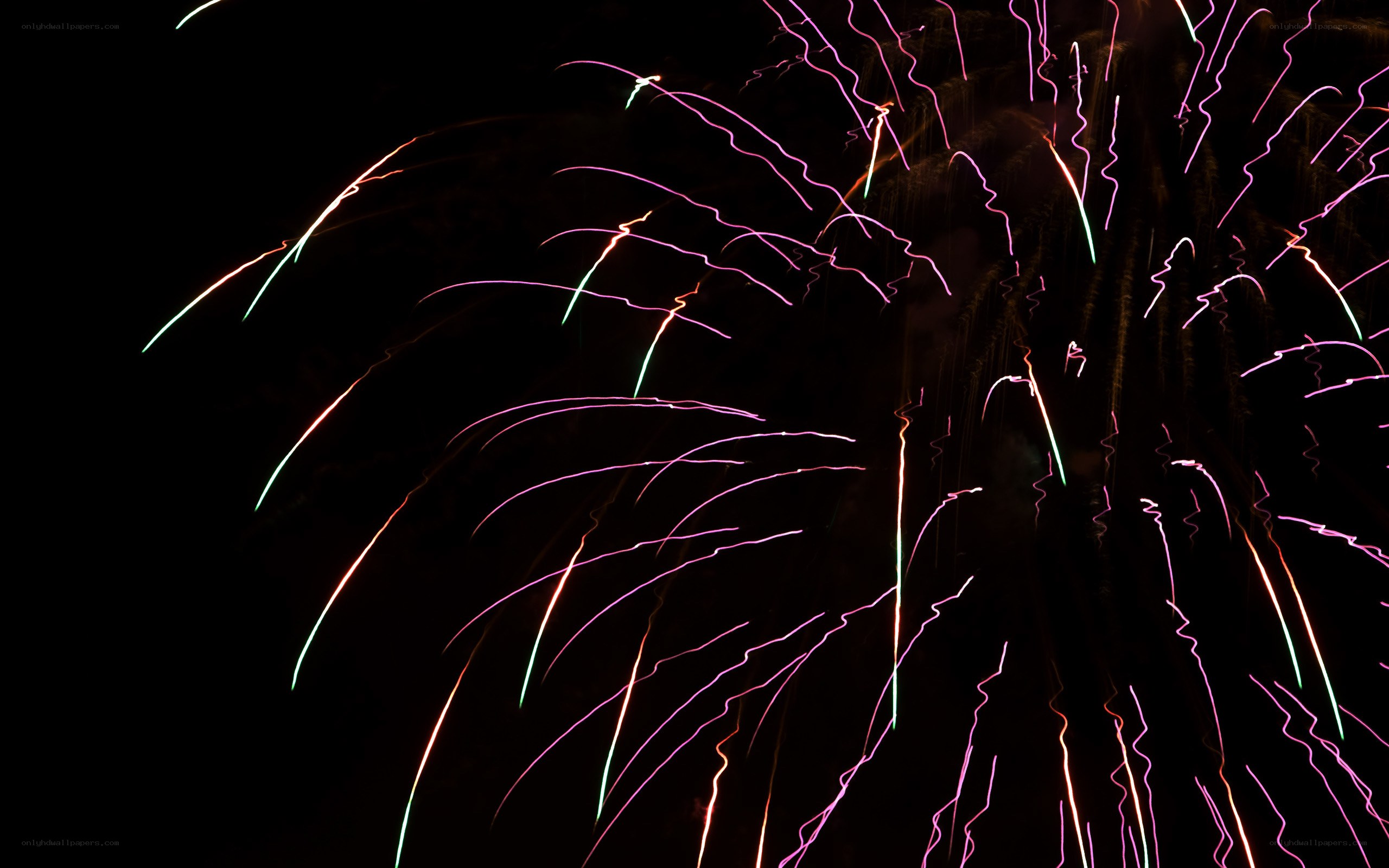 Colorful fireworks display