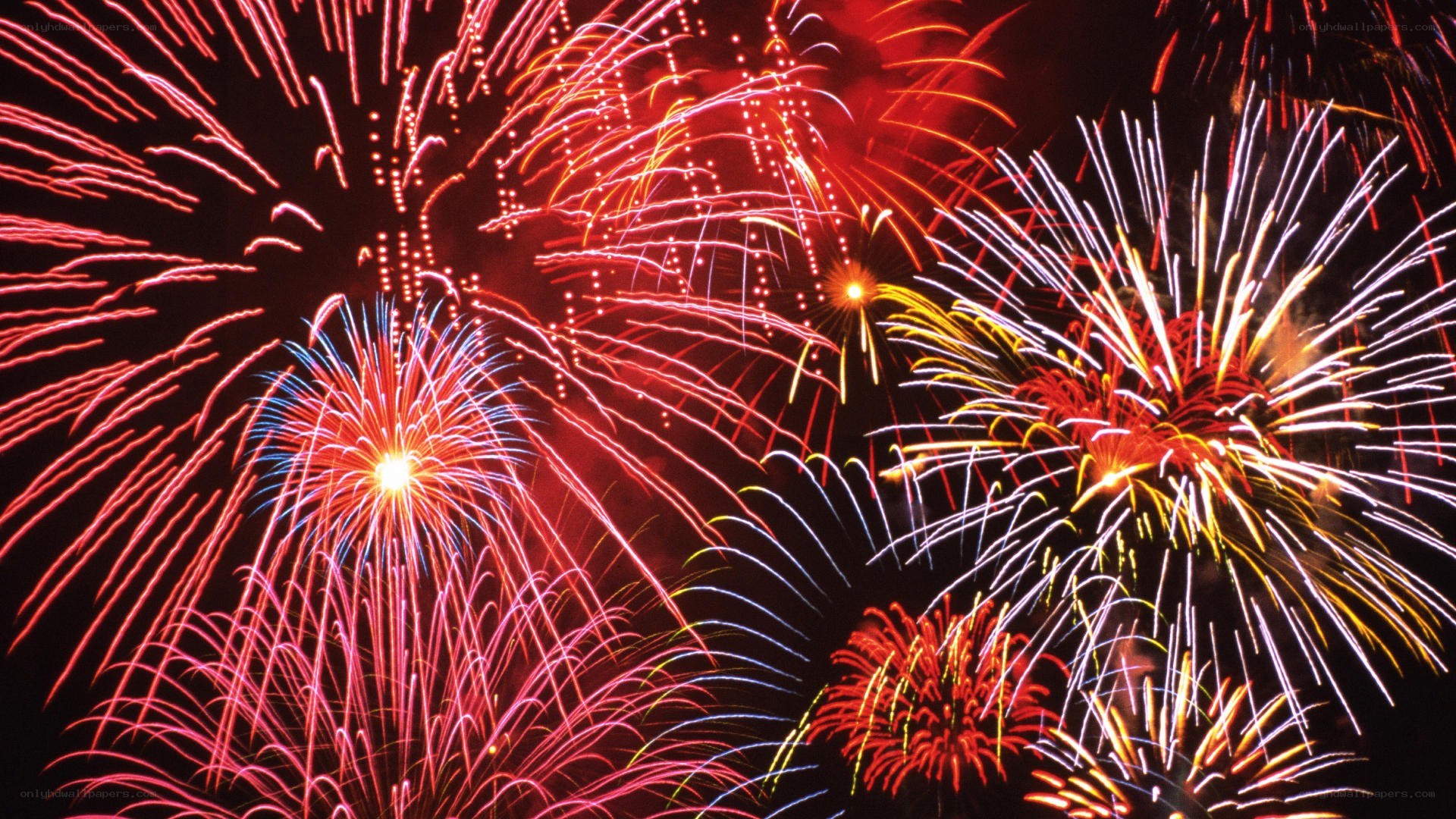 Colorful fireworks display