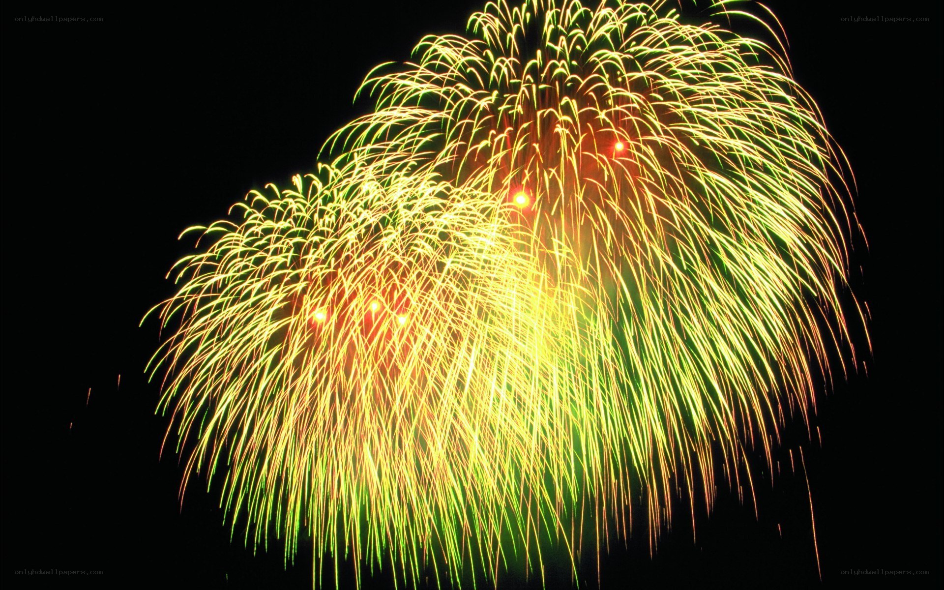 Colorful fireworks display