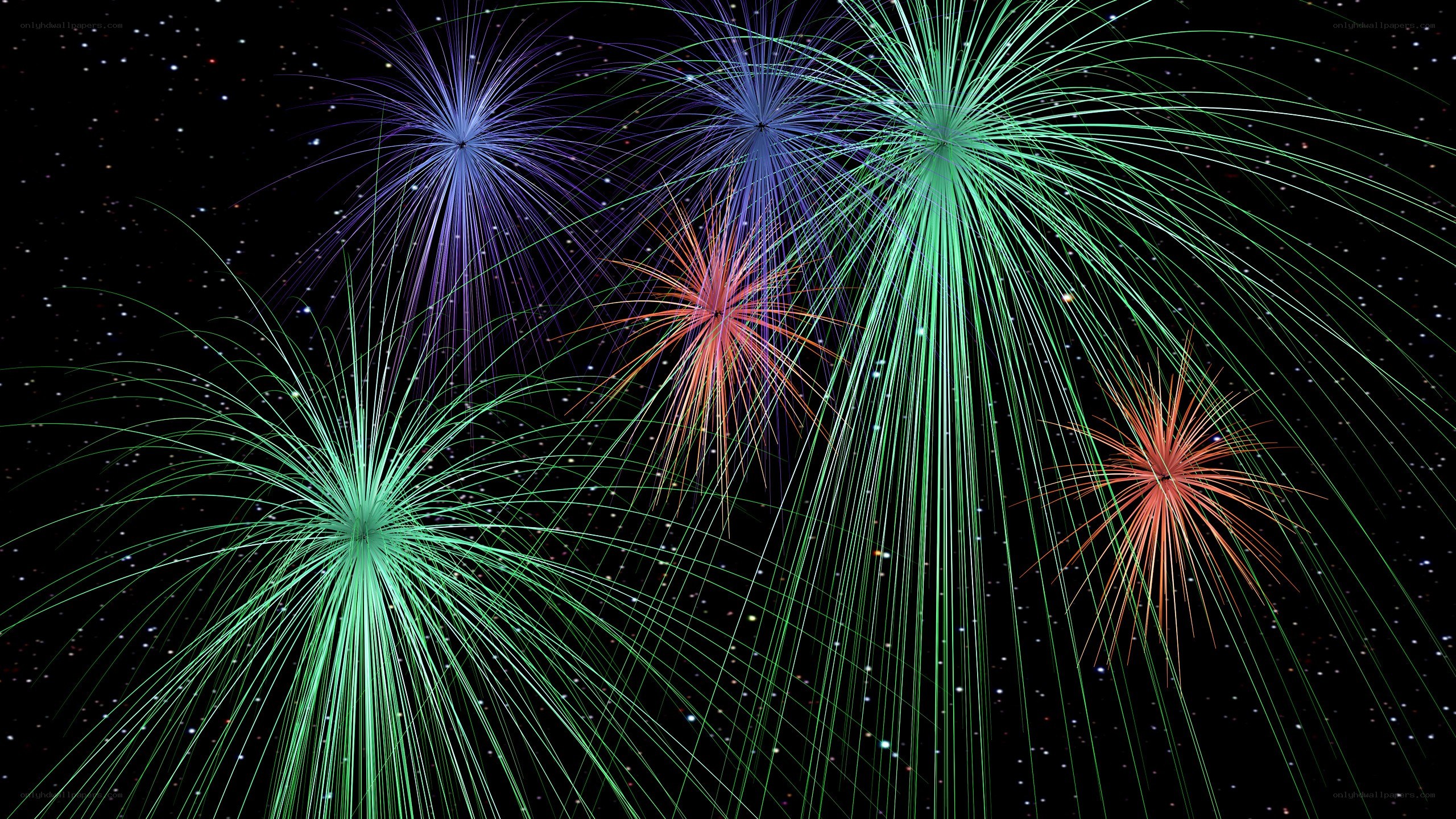 Colorful fireworks display