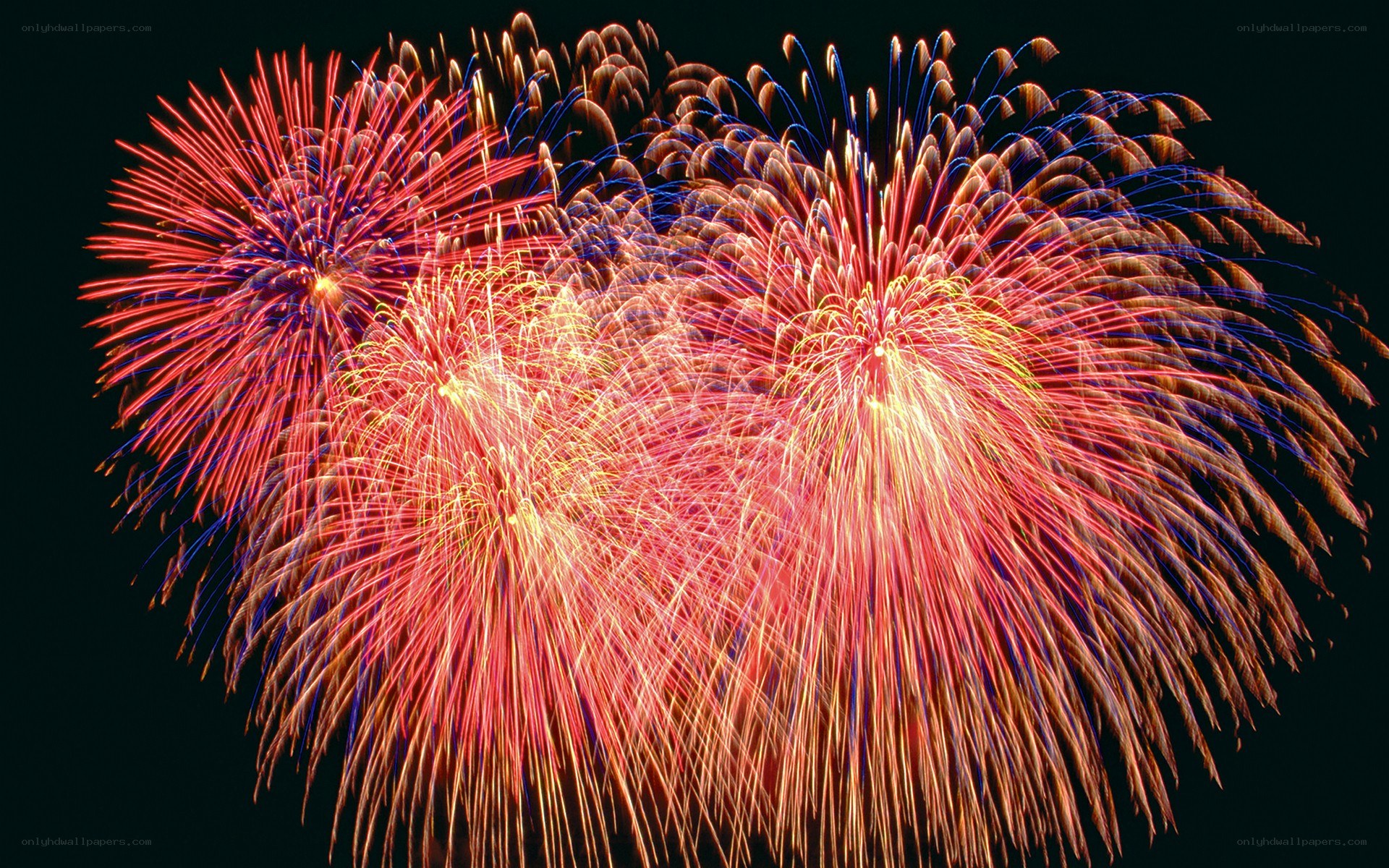 Colorful fireworks display