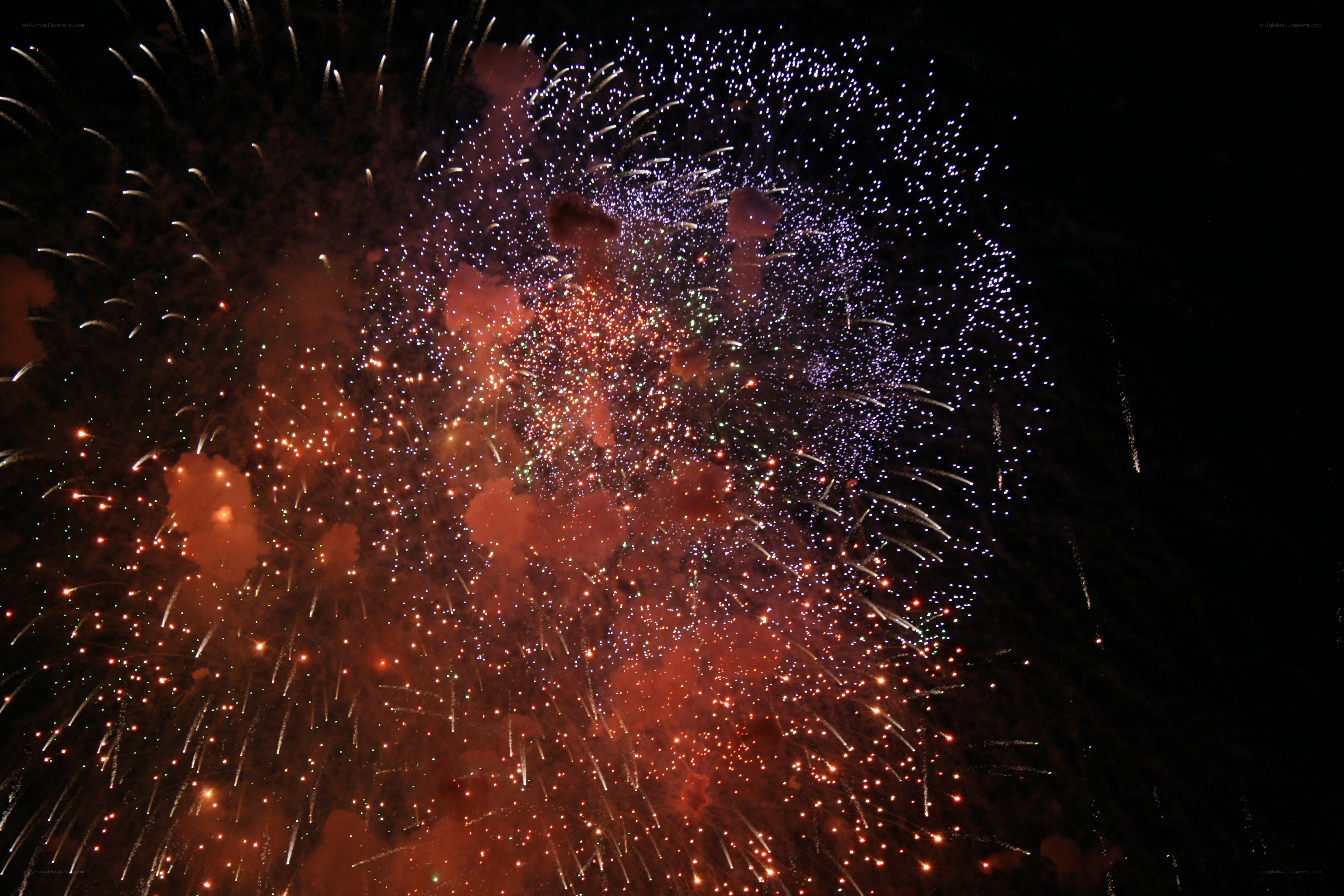 Colorful fireworks display