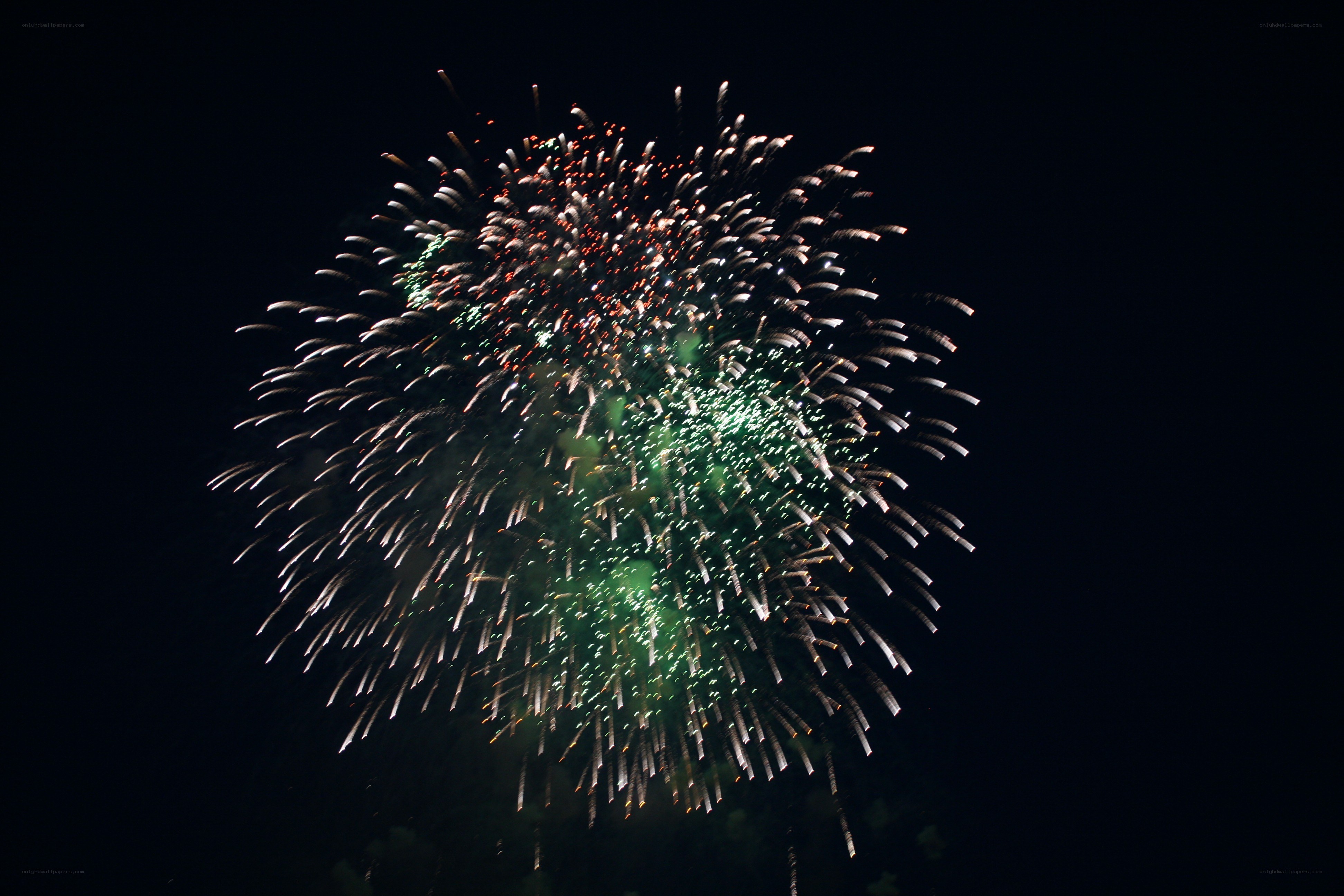 Colorful fireworks display
