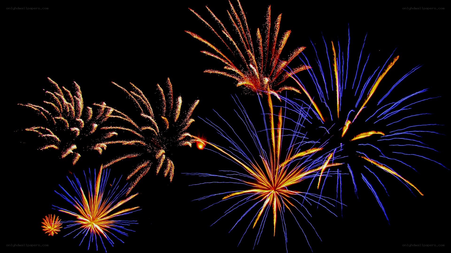 Colorful fireworks display