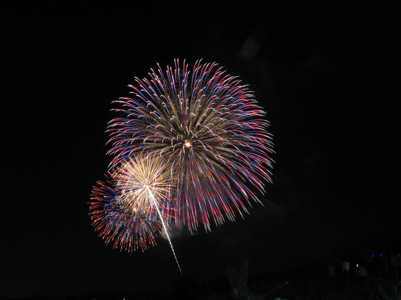 Colorful fireworks display at night