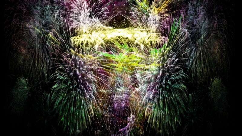 Colorful Fireworks Display — Yellow, Dramatic, Night
