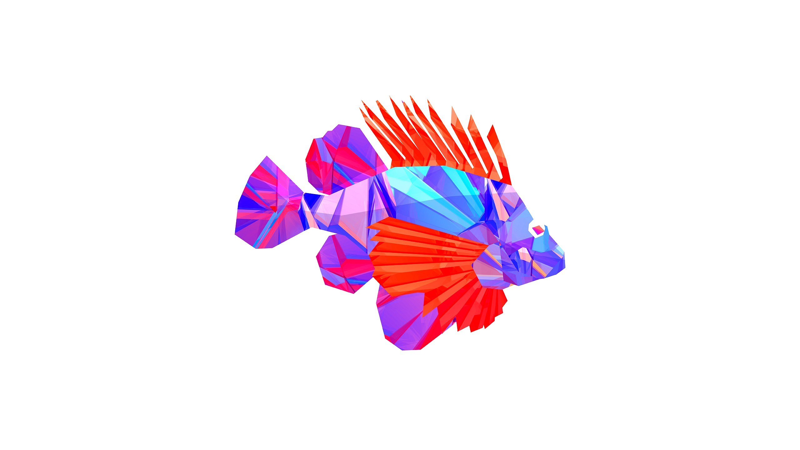 colorful fish illustration