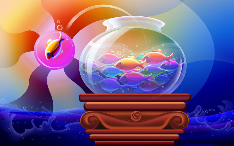 Colorful Fish in a Bowl