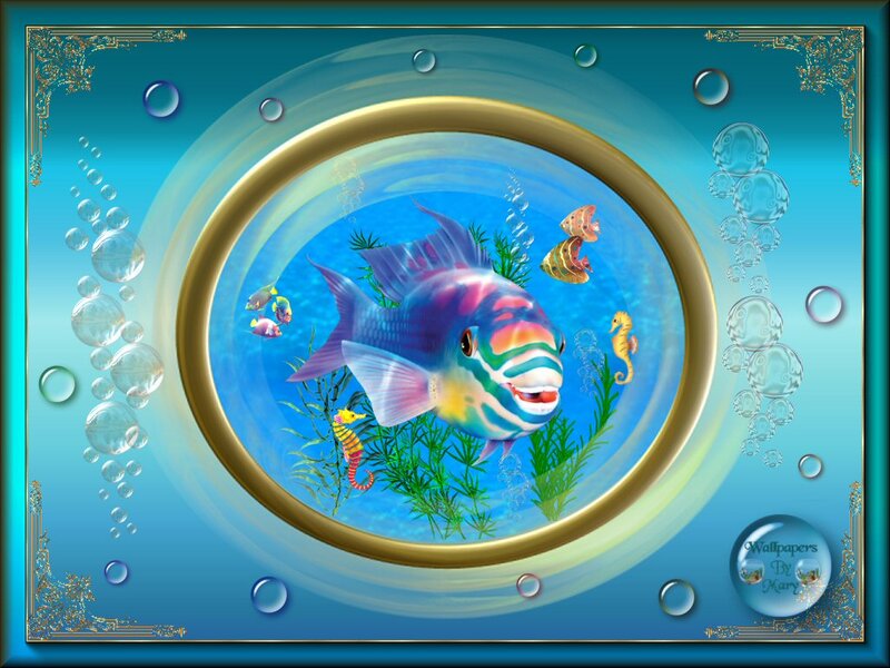 Colorful Fish in Aquarium — Blue, Serene