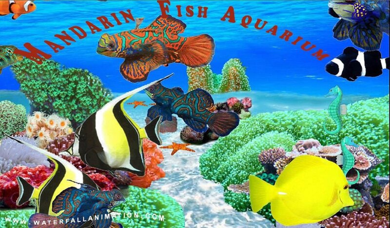 Colorful Fish in Aquarium — Blue, Vibrant, Digital Art, Coral