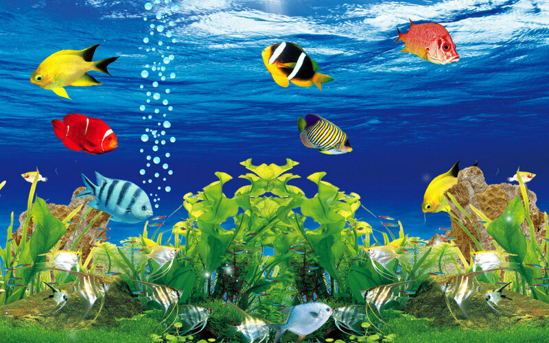 Colorful Fish in Aquarium — Blue, Vibrant, Digital Art, Plants