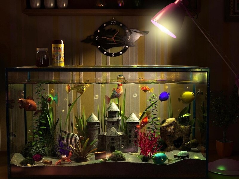 Colorful Fish in Aquarium — Green, Calm