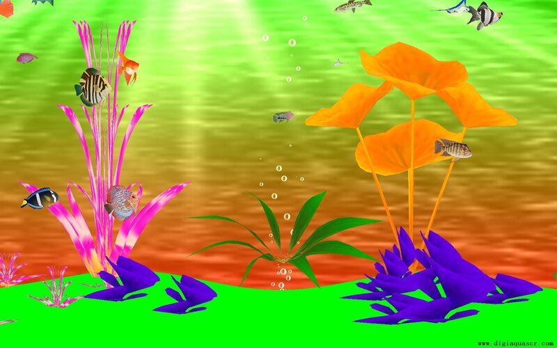 Colorful Fish in Aquarium — Green