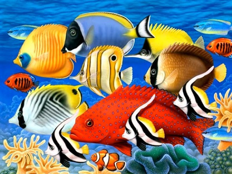 Colorful Fish in Coral — Blue