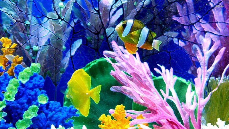 Colorful Fish in Coral — Blue, Vibrant, Digital Art