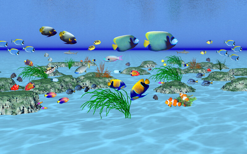 Colorful Fish in Coral Reef — Blue, Serene, 3d Render, Rocks