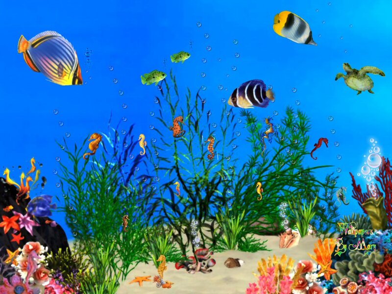 Colorful Fish in Coral Reef — Blue, Serene, Digital Art, Seahorses