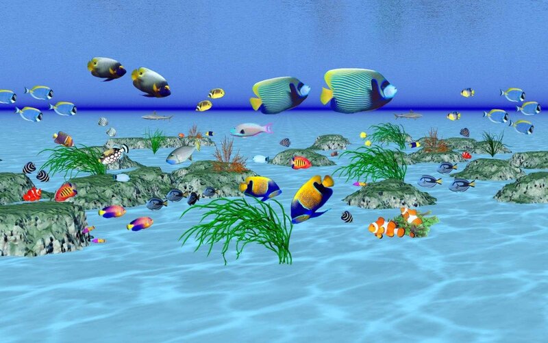 Colorful Fish in Coral Reef — Blue, Serene, Digital Art, Seaweed, Rocks