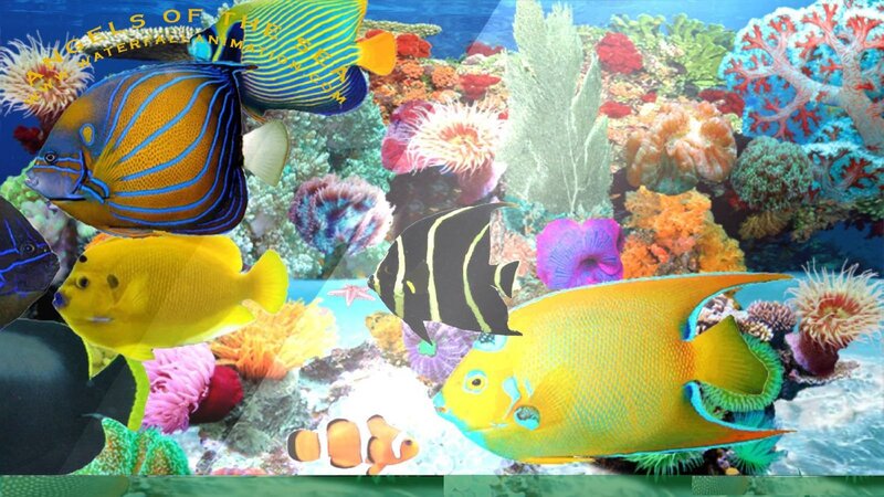 Colorful Fish in Coral Reef — Blue, Vibrant, Digital Art, Anemone