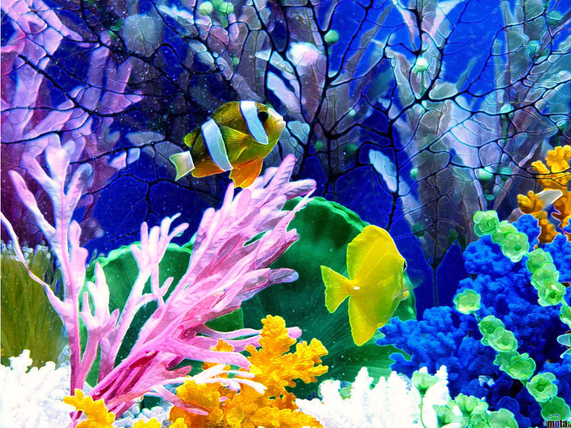 Colorful Fish in Coral Reef — Blue, Vibrant, Digital Art, Sea Anemone