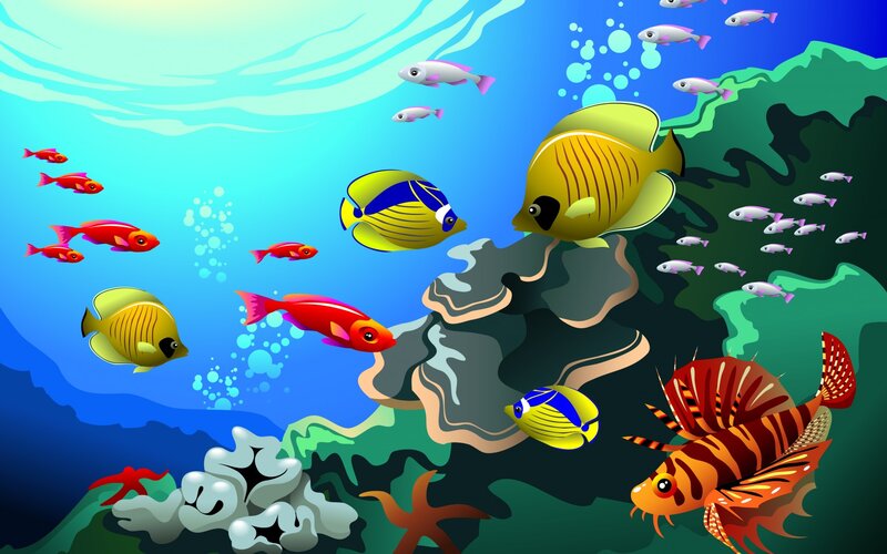 Colorful Fish in Coral Reef — Blue, Vibrant, Illustration, Bubbles, Starfish