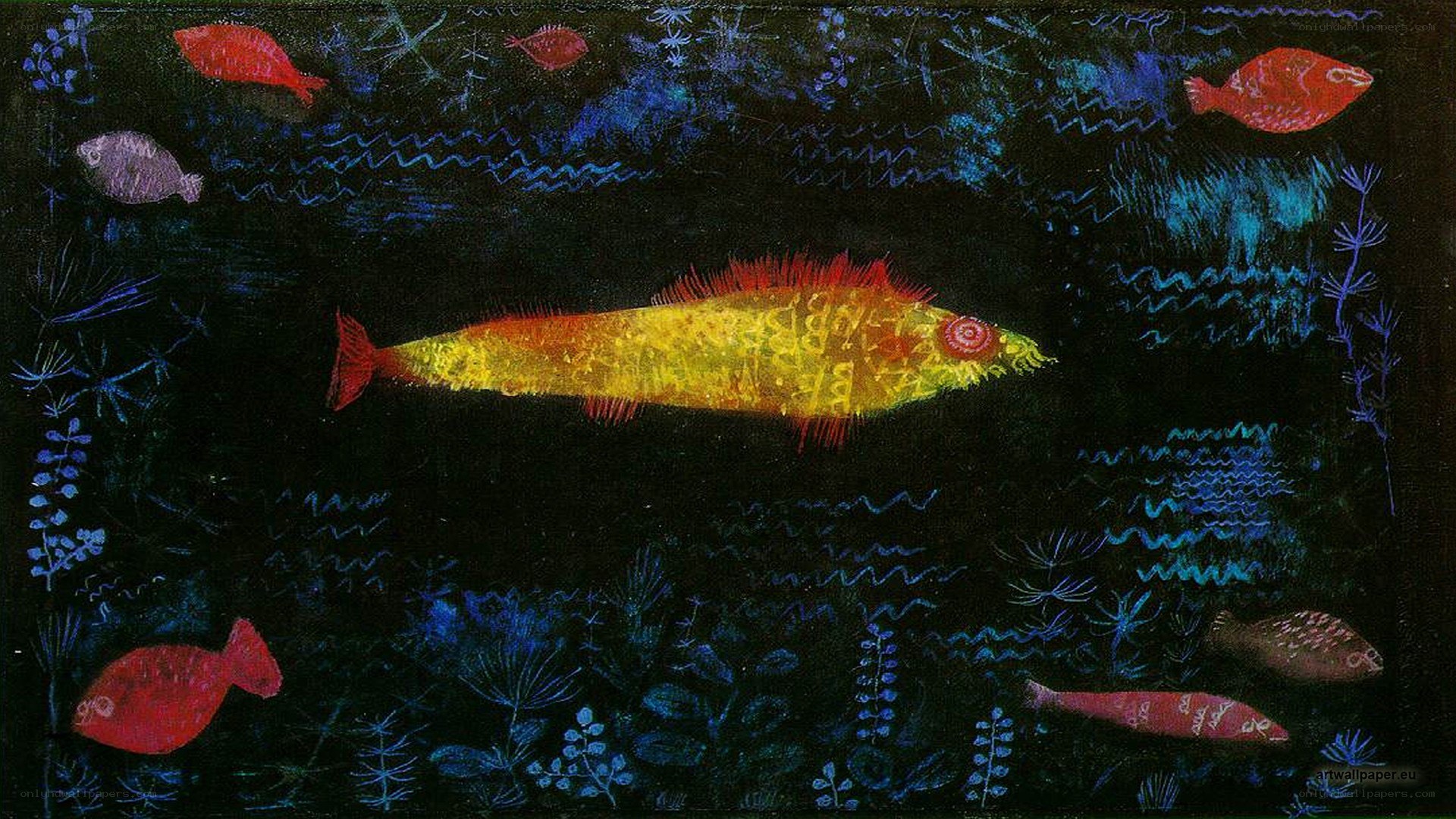 Colorful fish in dark water