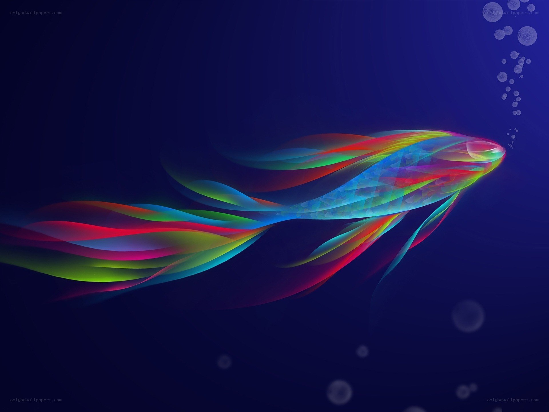 Colorful fish in deep water