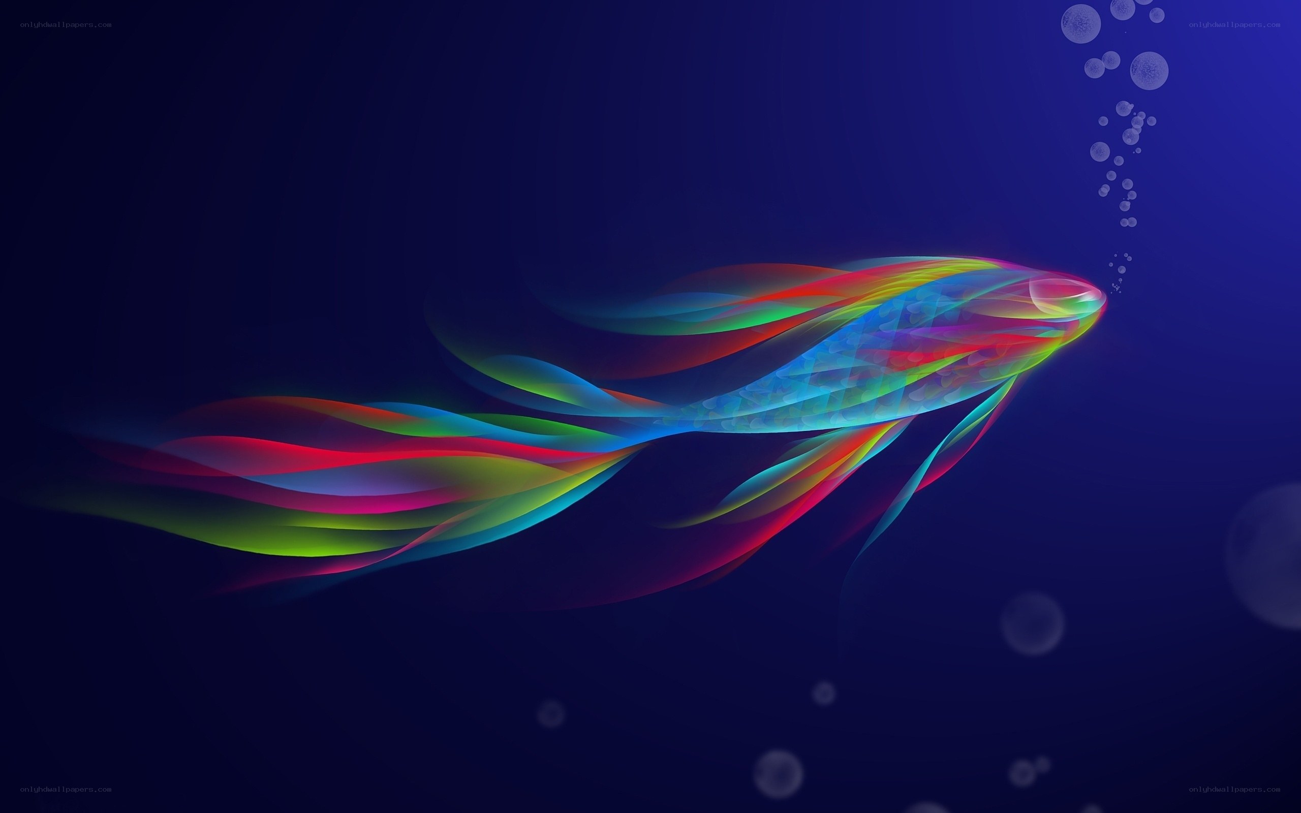 Colorful fish in deep water