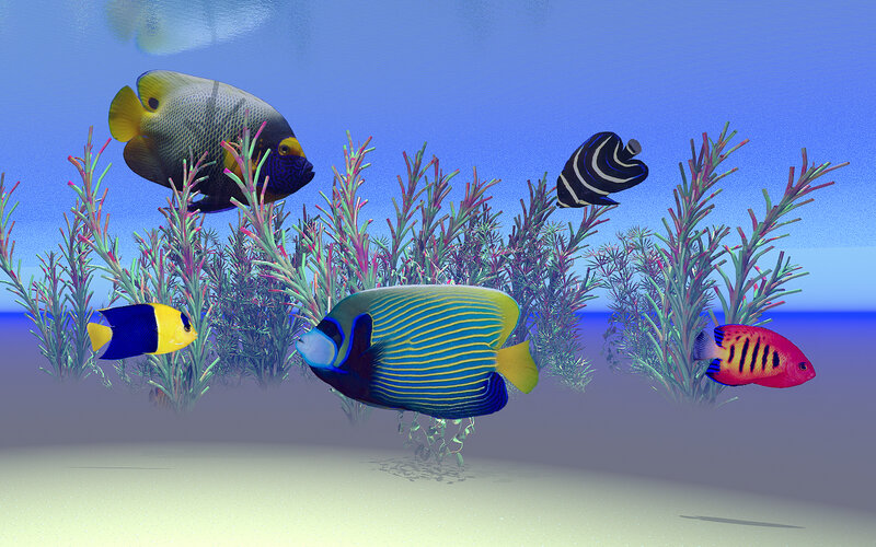 Colorful fish in underwater scene