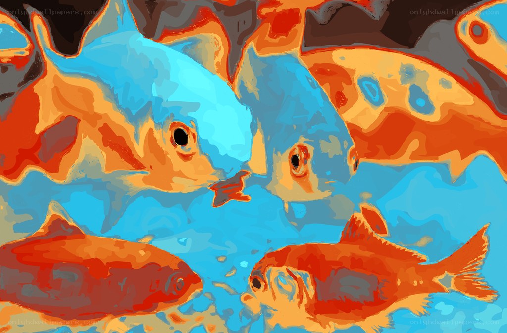 Colorful fish in water