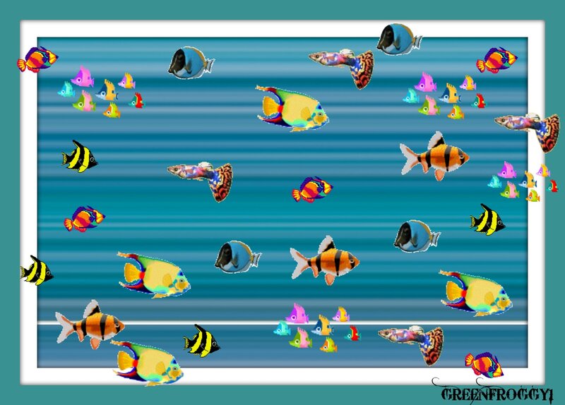 Colorful Fish in Water — Blue, Playful