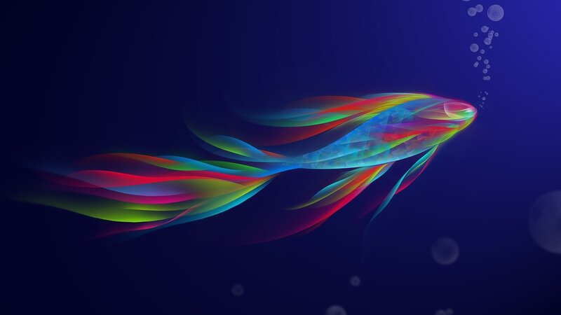 Colorful Fish in Water — Blue, Serene
