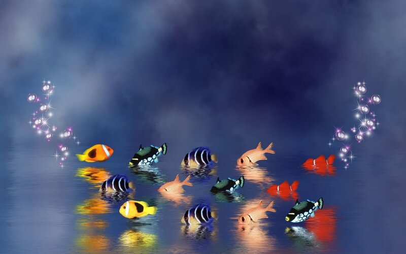 Colorful Fish in Water — Blue