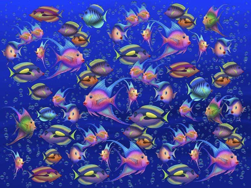 Colorful Fish in Water — Blue, Vibrant